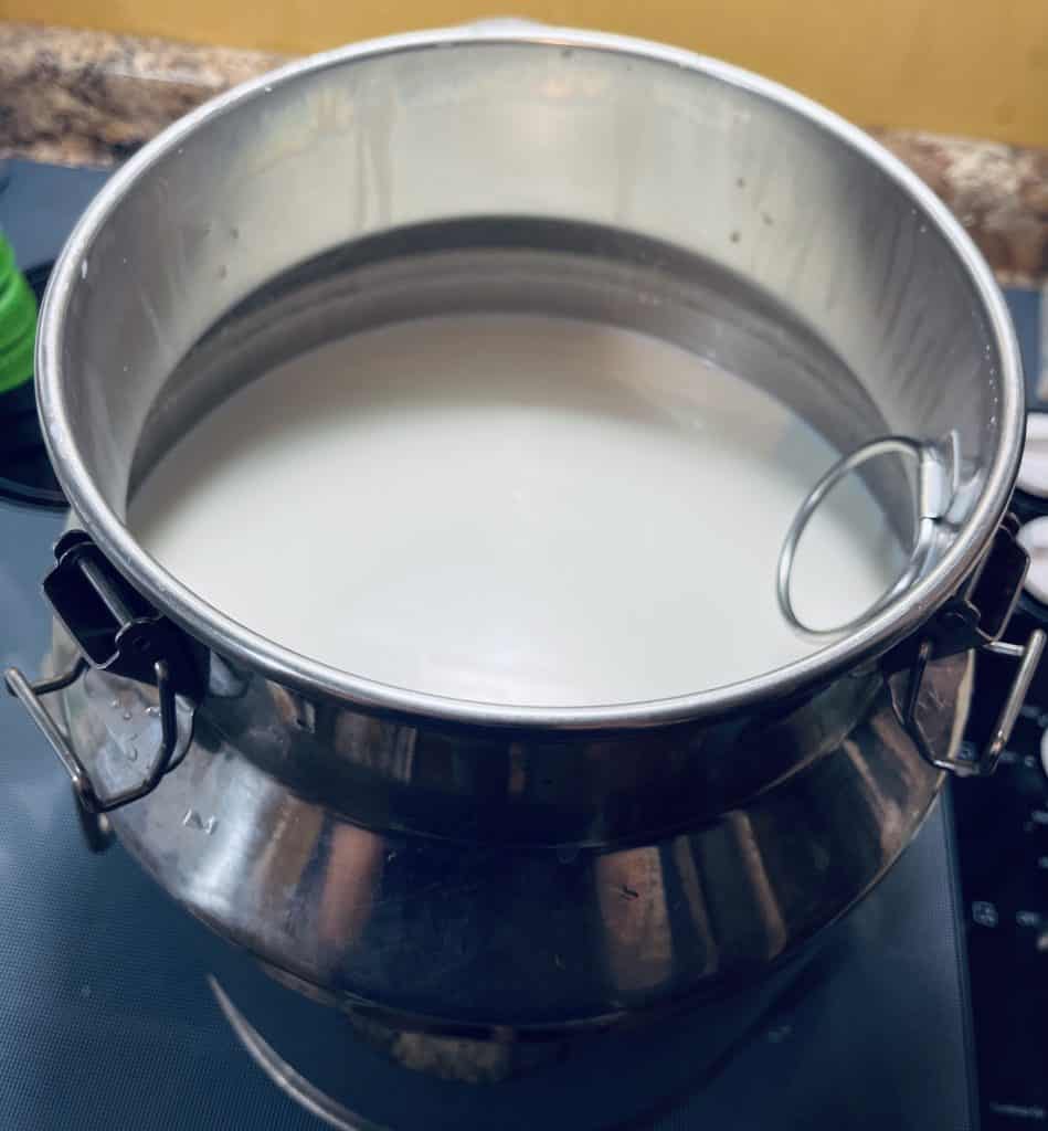 goat milk in a stainless steel pail