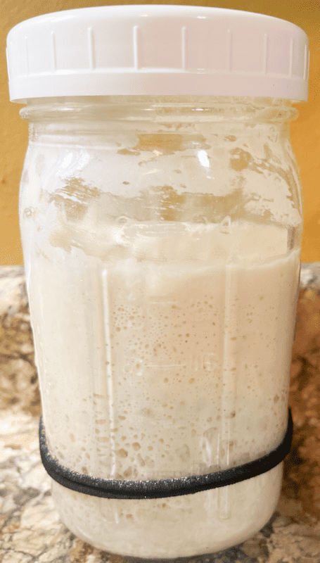 Dehydrated sourdough starter on day four.