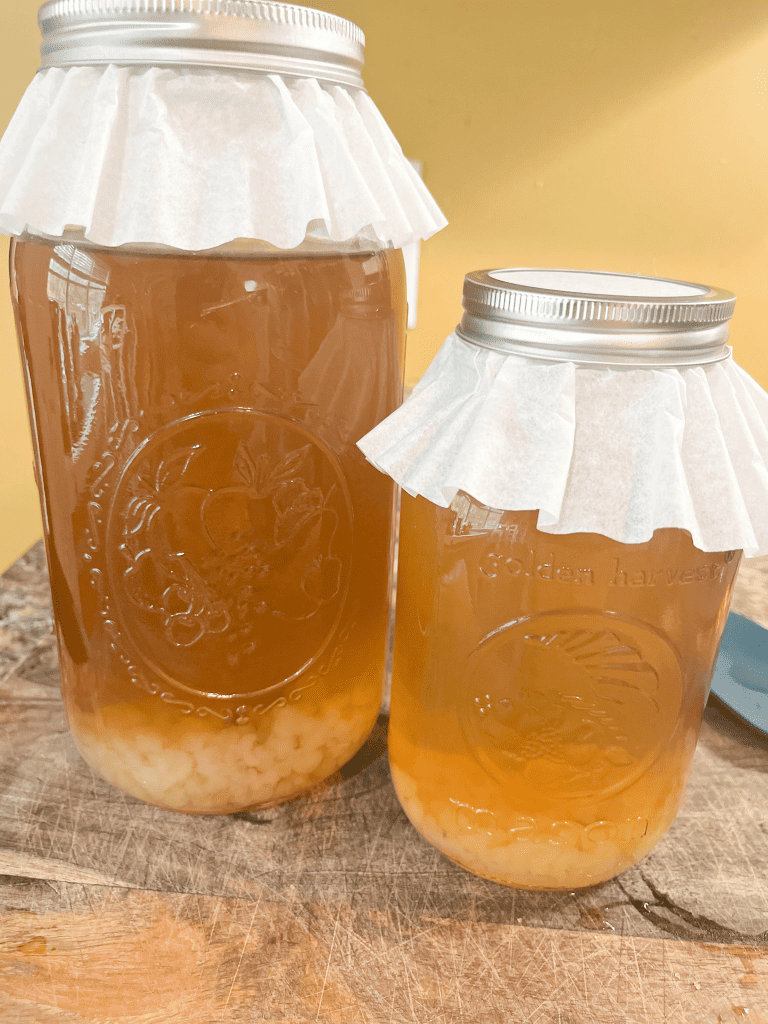 water kefir fermenting in a glass jar
