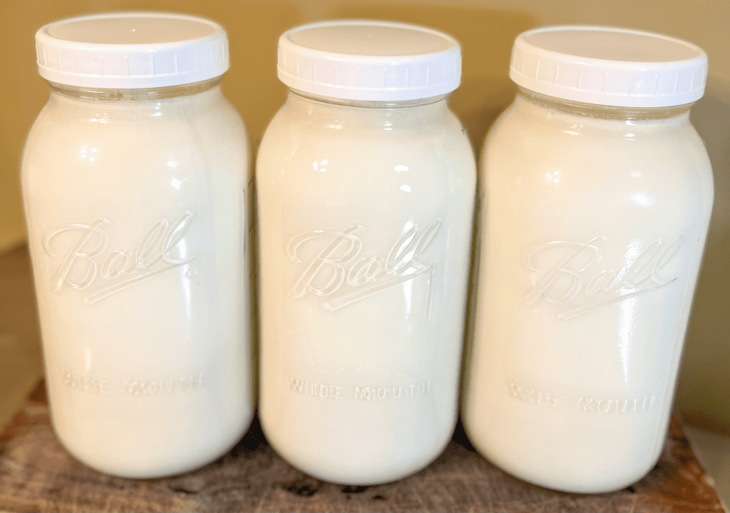 raw goat's milk in half gallon mason jars