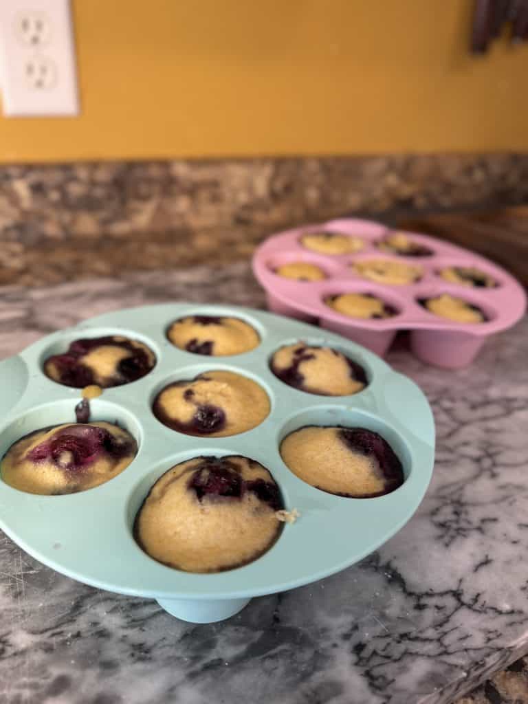 blueberry corn muffin bites in silicone molds