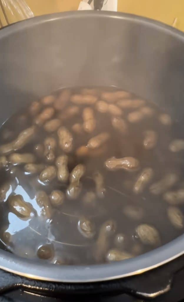 instant pot boiled peanuts
