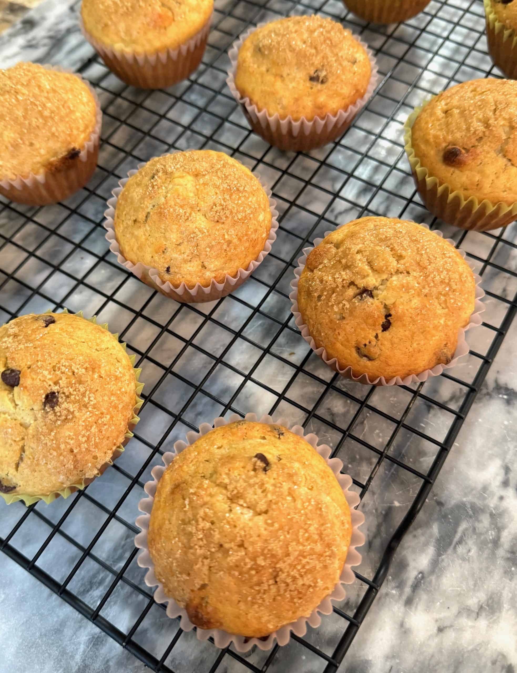 chocolate chip banana muffins cooling on a wire rack