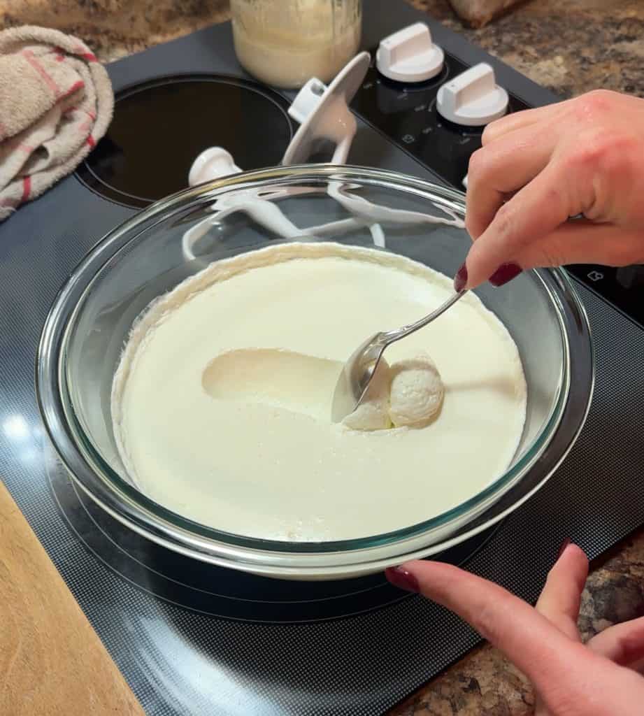 cultured butter in a glass bowl after 48 hours of fermenting before mixing