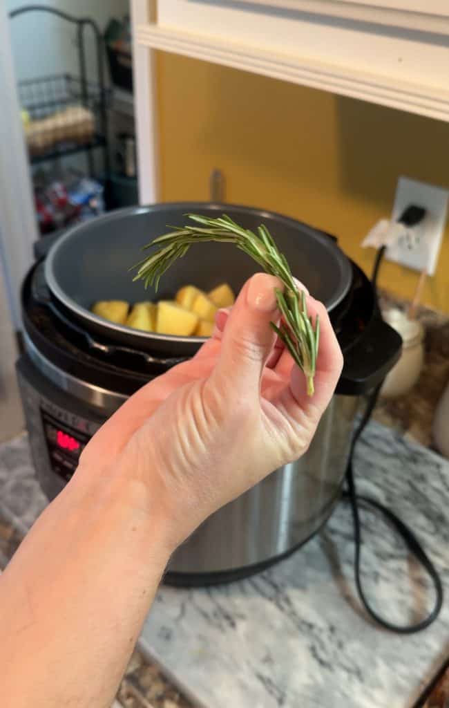 adding a sprig of rosemary into an instant pot with the quartered potatoes